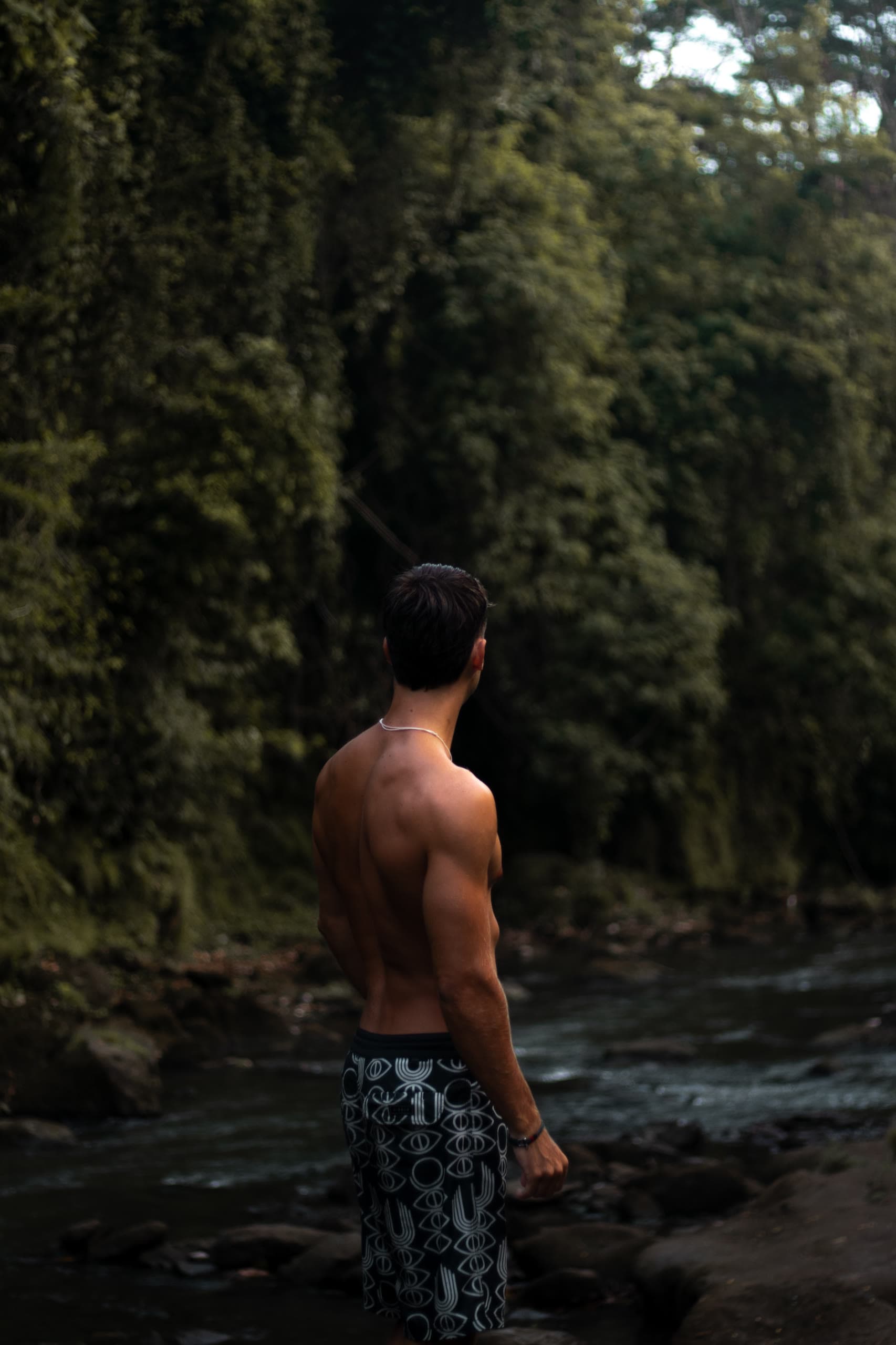 Into the jungle